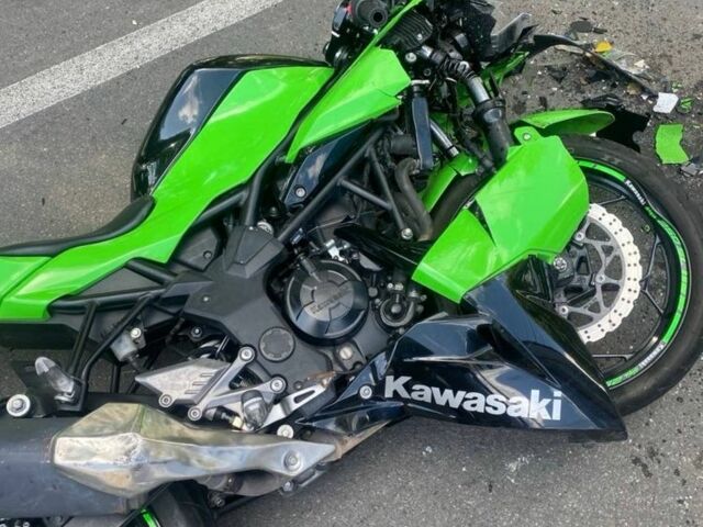 Кавасакі Інша, об'ємом двигуна 0.25 л та пробігом 0 тис. км за 1186 $, фото 2 на Automoto.ua