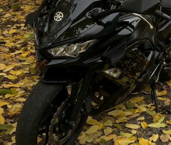 Кавасаки Другая, объемом двигателя 0.65 л и пробегом 0 тыс. км за 4640 $, фото 3 на Automoto.ua