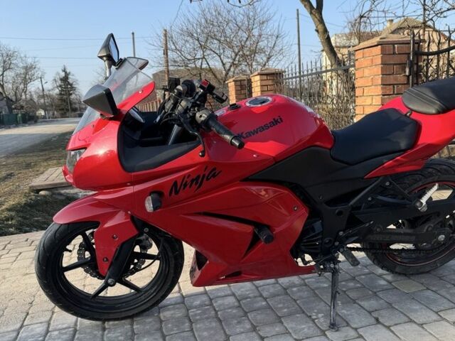Кавасакі Інша, об'ємом двигуна 0.25 л та пробігом 0 тис. км за 3000 $, фото 5 на Automoto.ua
