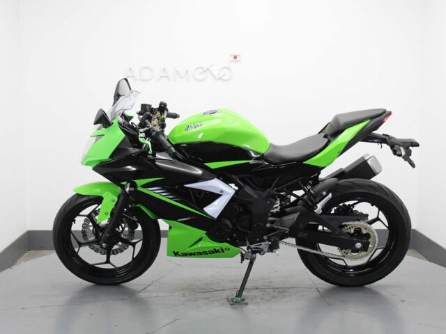 Кавасаки Другая, объемом двигателя 0.25 л и пробегом 0 тыс. км за 2800 $, фото 1 на Automoto.ua