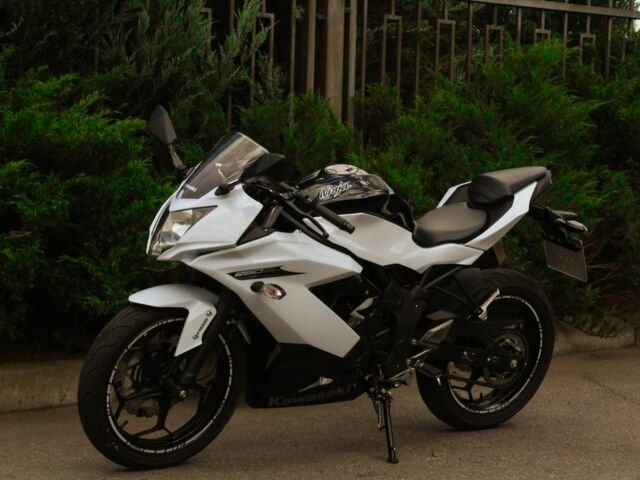 Кавасакі Інша, об'ємом двигуна 0.25 л та пробігом 0 тис. км за 2900 $, фото 4 на Automoto.ua