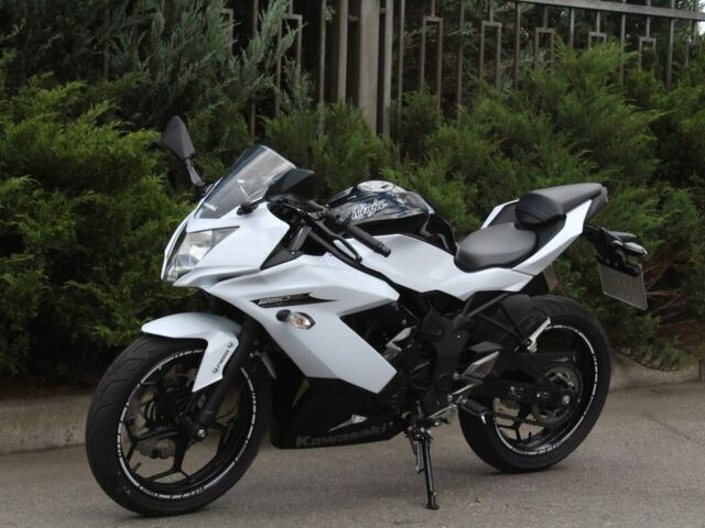 Кавасакі Інша, об'ємом двигуна 0.25 л та пробігом 0 тис. км за 2900 $, фото 3 на Automoto.ua