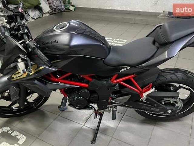 Серый Кавасаки Z 250SL, объемом двигателя 0.25 л и пробегом 3 тыс. км за 3300 $, фото 4 на Automoto.ua