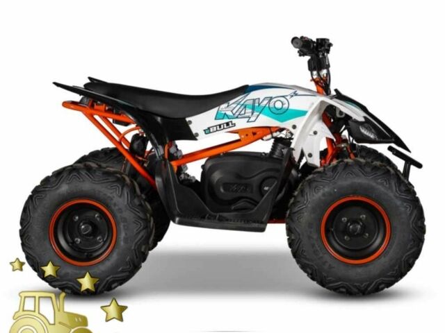 Кайо 6510, объемом двигателя 14.86 л и пробегом 0 тыс. км за 1600 $, фото 9 на Automoto.ua