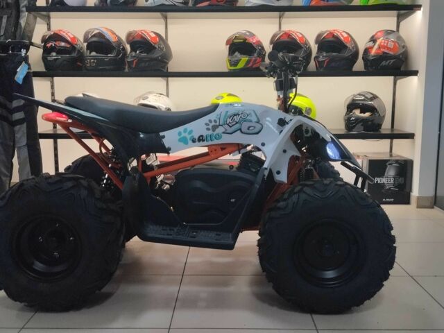 Кайо 6510, объемом двигателя 14.86 л и пробегом 0 тыс. км за 1600 $, фото 2 на Automoto.ua