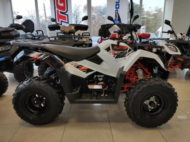 Кайо 95 XF 380, объемом двигателя 0.3 л и пробегом 0 тыс. км за 4200 $, фото 12 на Automoto.ua