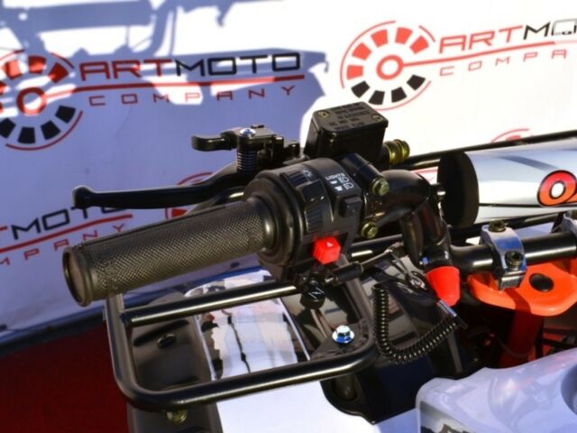 Кайо AU, об'ємом двигуна 0.11 л та пробігом 0 тис. км за 1270 $, фото 5 на Automoto.ua