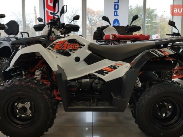 Кайо AU 300, объемом двигателя 0.27 л и пробегом 0 тыс. км за 4500 $, фото 2 на Automoto.ua