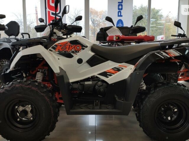 купить новое авто Кайо AU 300 2024 года от официального дилера АртМото Хмельницький Кайо фото