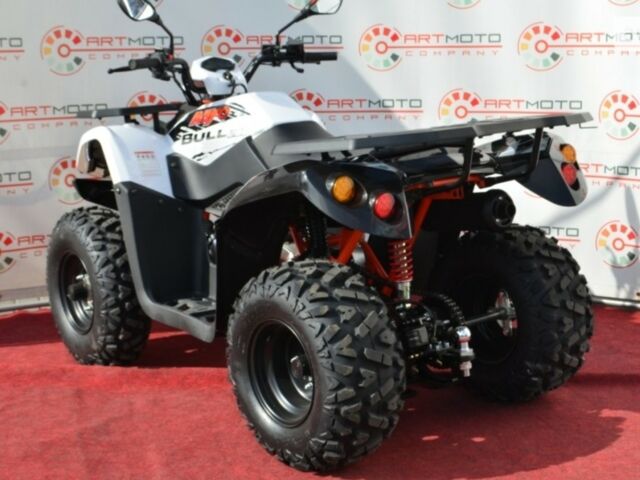 Кайо Bull, об'ємом двигуна 0.2 л та пробігом 0 тис. км за 3100 $, фото 18 на Automoto.ua