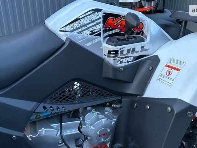 Кайо Bull, объемом двигателя 0.2 л и пробегом 0 тыс. км за 3099 $, фото 12 на Automoto.ua