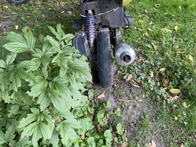 Кивей С-Элизе, объемом двигателя 70 л и пробегом 0 тыс. км за 241 $, фото 1 на Automoto.ua