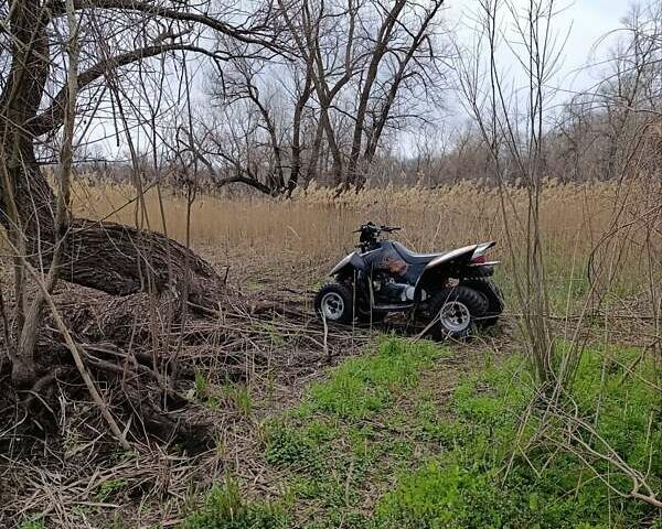 Кивей Дракон, объемом двигателя 0 л и пробегом 5 тыс. км за 1600 $, фото 1 на Automoto.ua