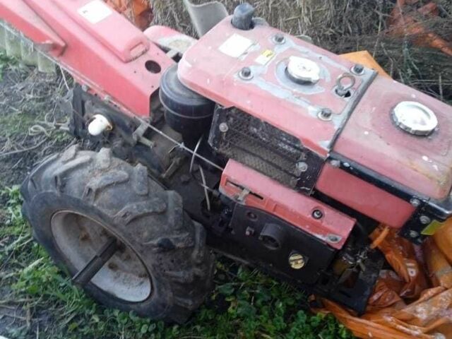 Червоний Кентавр 10, об'ємом двигуна 0 л та пробігом 10 тис. км за 589 $, фото 1 на Automoto.ua