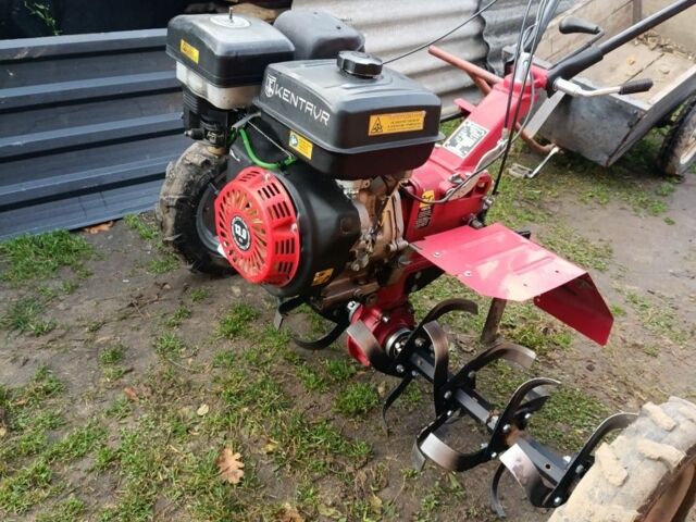 Кентавр Інша, об'ємом двигуна 13 л та пробігом 0 тис. км за 643 $, фото 1 на Automoto.ua