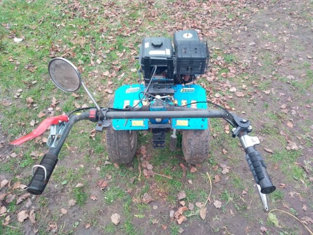 Кентавр Інша, об'ємом двигуна 0.39 л та пробігом 0 тис. км за 400 $, фото 2 на Automoto.ua