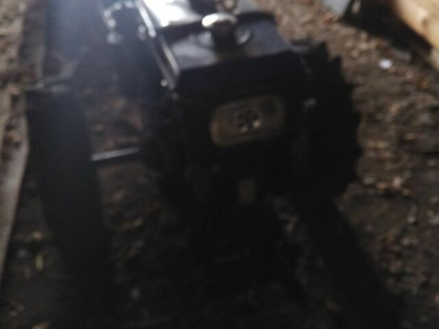 Кентавр Інша, об'ємом двигуна 0 л та пробігом 0 тис. км за 709 $, фото 6 на Automoto.ua