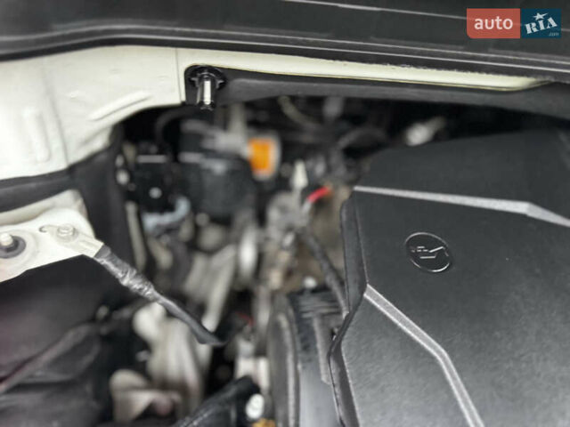 Белый Киа Карнивал, объемом двигателя 2.2 л и пробегом 23 тыс. км за 41900 $, фото 123 на Automoto.ua