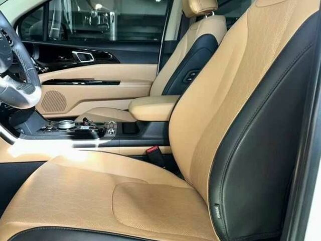 Белый Киа Карнивал, объемом двигателя 2.2 л и пробегом 33 тыс. км за 32000 $, фото 11 на Automoto.ua