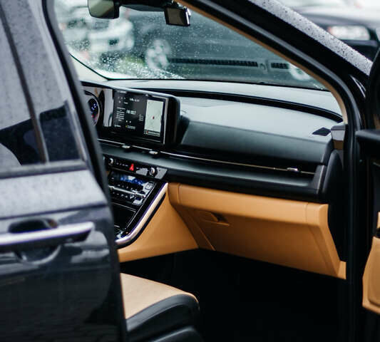 Сірий Кіа Карнівал, об'ємом двигуна 2.2 л та пробігом 147 тис. км за 33999 $, фото 47 на Automoto.ua