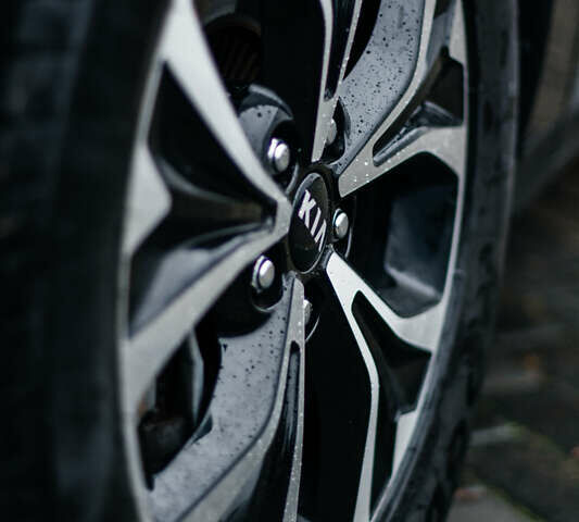 Сірий Кіа Карнівал, об'ємом двигуна 2.2 л та пробігом 147 тис. км за 33999 $, фото 72 на Automoto.ua