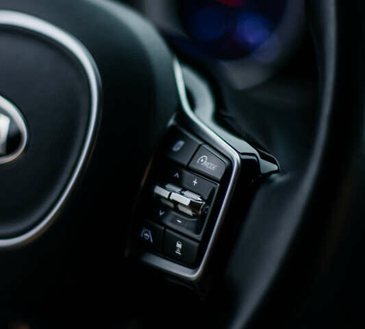 Сірий Кіа Карнівал, об'ємом двигуна 2.2 л та пробігом 147 тис. км за 33999 $, фото 51 на Automoto.ua