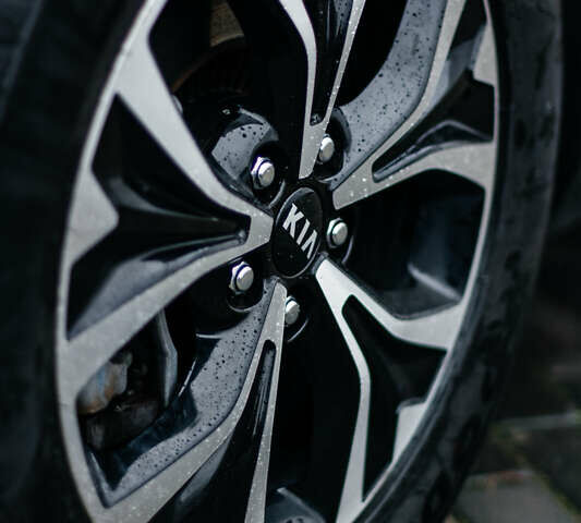 Сірий Кіа Карнівал, об'ємом двигуна 2.2 л та пробігом 147 тис. км за 33999 $, фото 73 на Automoto.ua