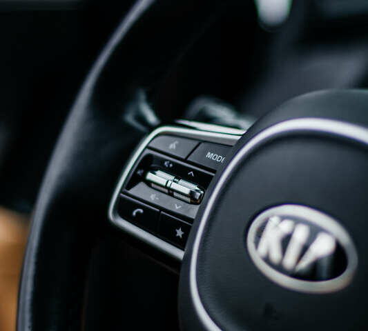 Сірий Кіа Карнівал, об'ємом двигуна 2.2 л та пробігом 147 тис. км за 33999 $, фото 54 на Automoto.ua