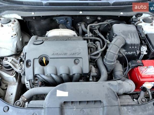 Білий Кіа Сід, об'ємом двигуна 1.4 л та пробігом 221 тис. км за 4800 $, фото 32 на Automoto.ua