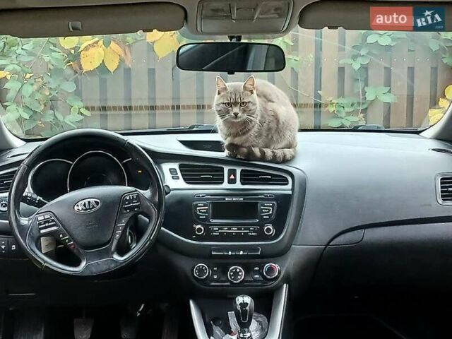 Черный Киа Сид, объемом двигателя 1.6 л и пробегом 226 тыс. км за 8400 $, фото 23 на Automoto.ua