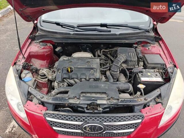 Красный Киа Сид, объемом двигателя 1.4 л и пробегом 180 тыс. км за 4300 $, фото 14 на Automoto.ua
