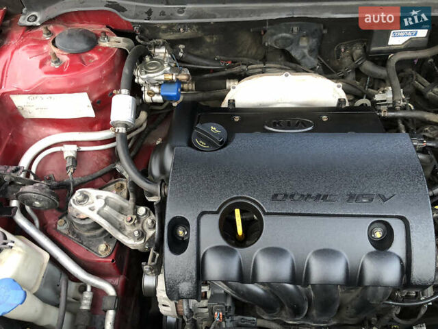 Красный Киа Сид, объемом двигателя 1.6 л и пробегом 248 тыс. км за 4599 $, фото 29 на Automoto.ua