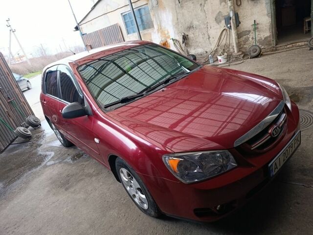 Красный Киа Черато, объемом двигателя 1.6 л и пробегом 230 тыс. км за 4400 $, фото 6 на Automoto.ua