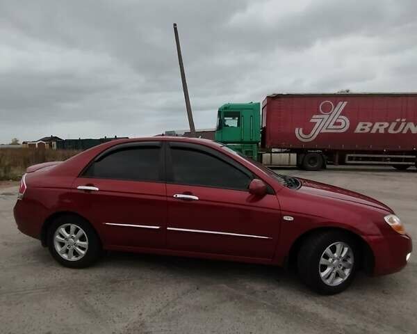 Кіа Черато 2008 у Коростене на Automoto.ua Червоний Кіа Черато, об'ємом двигуна 1.6 л та пробігом 126 тис. км за 5599 $, фото 5 на Automoto.ua