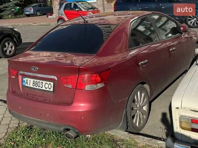 Киа Черато 2011 в Киеве на Automoto.ua Красный Киа Черато, объемом двигателя 1.59 л и пробегом 264 тыс. км за 6899 $, фото 6 на Automoto.ua