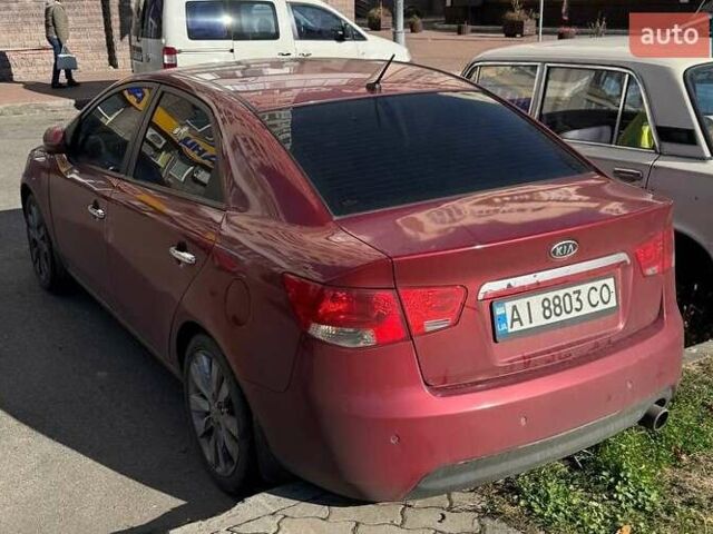 Киа Черато 2011 в Киеве на Automoto.ua Красный Киа Черато, объемом двигателя 1.59 л и пробегом 264 тыс. км за 6899 $, фото 7 на Automoto.ua