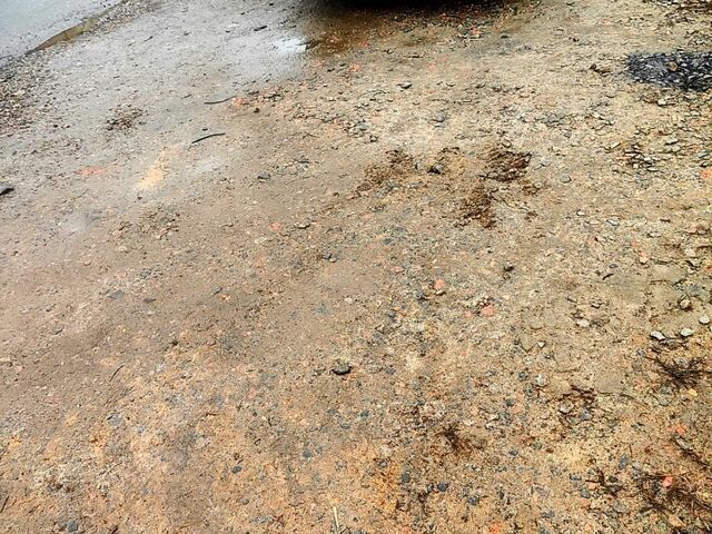 Серый Киа Черато, объемом двигателя 1.6 л и пробегом 200 тыс. км за 3900 $, фото 3 на Automoto.ua