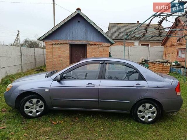 Серый Киа Черато, объемом двигателя 1.6 л и пробегом 200 тыс. км за 4100 $, фото 6 на Automoto.ua