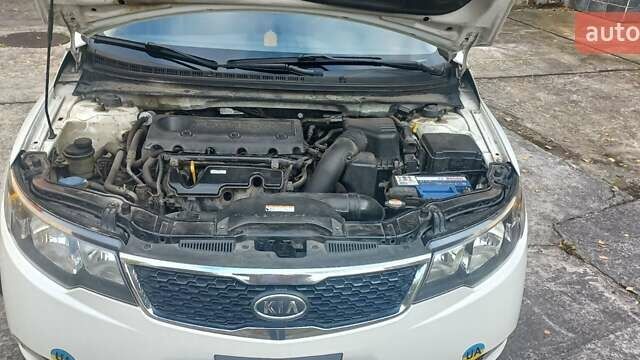 Киа Форте 2012 в Нетешине на Automoto.ua Белый Киа Форте, объемом двигателя 2 л и пробегом 213 тыс. км за 7400 $, фото 11 на Automoto.ua
