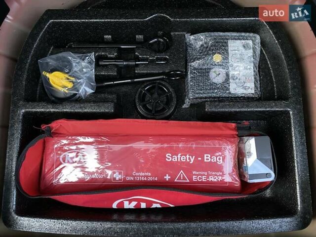 Червоний Кіа Niro, об'ємом двигуна 0 л та пробігом 128 тис. км за 19900 $, фото 50 на Automoto.ua