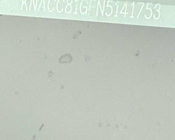 Серый Киа Niro, объемом двигателя 0 л и пробегом 37 тыс. км за 24400 $, фото 33 на Automoto.ua