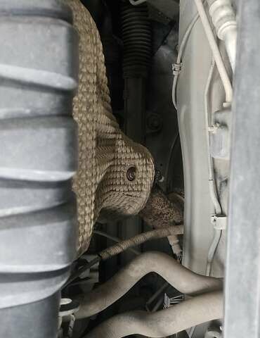 Серый Киа Оптима, объемом двигателя 2.36 л и пробегом 191 тыс. км за 7900 $, фото 43 на Automoto.ua