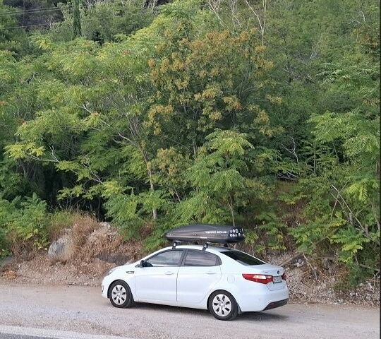 Белый Киа Рио, объемом двигателя 1.4 л и пробегом 110 тыс. км за 8500 $, фото 9 на Automoto.ua