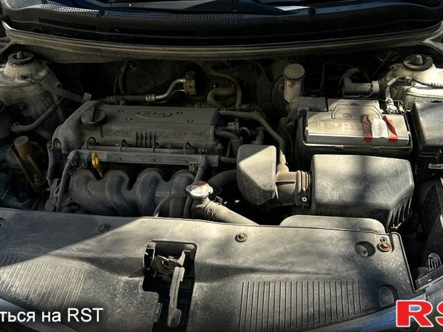 Белый Киа Рио, объемом двигателя 1.4 л и пробегом 176 тыс. км за 8000 $, фото 8 на Automoto.ua