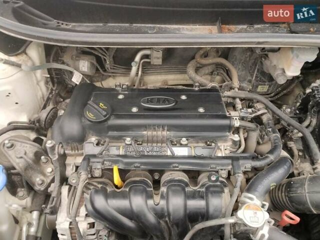 Белый Киа Рио, объемом двигателя 1.4 л и пробегом 29 тыс. км за 11500 $, фото 9 на Automoto.ua