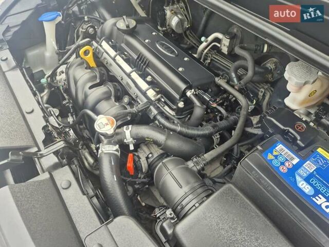 Черный Киа Рио, объемом двигателя 1.4 л и пробегом 66 тыс. км за 11950 $, фото 71 на Automoto.ua