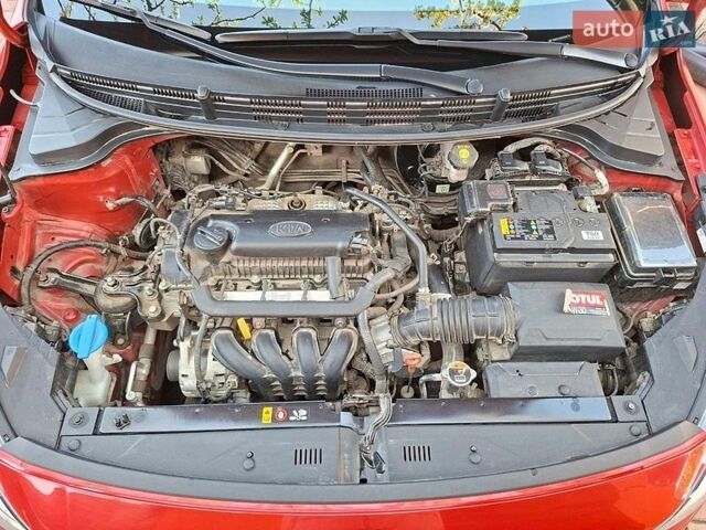 Красный Киа Рио, объемом двигателя 1.4 л и пробегом 24 тыс. км за 12400 $, фото 18 на Automoto.ua