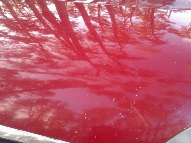 Червоний Кіа Ріо, об'ємом двигуна 1.3 л та пробігом 323 тис. км за 2200 $, фото 10 на Automoto.ua