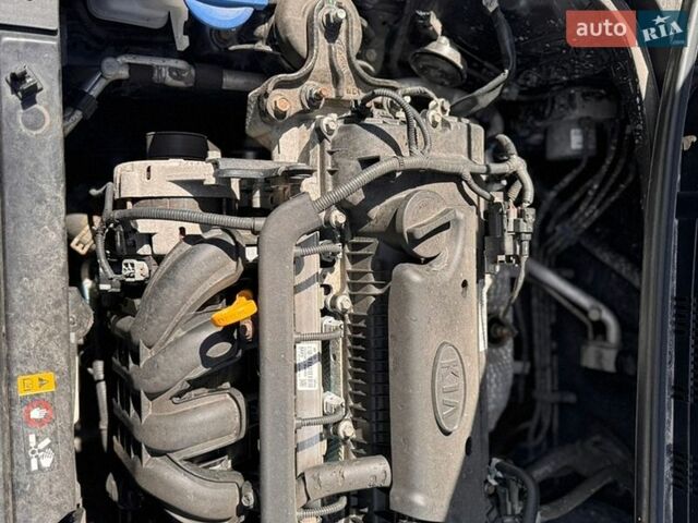Серый Киа Рио, объемом двигателя 1.4 л и пробегом 33 тыс. км за 13700 $, фото 31 на Automoto.ua