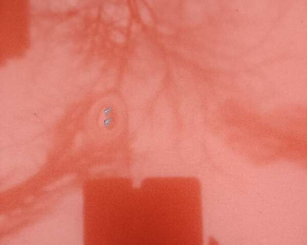 Оранжевый Киа Рио, объемом двигателя 1.4 л и пробегом 181 тыс. км за 5100 $, фото 8 на Automoto.ua